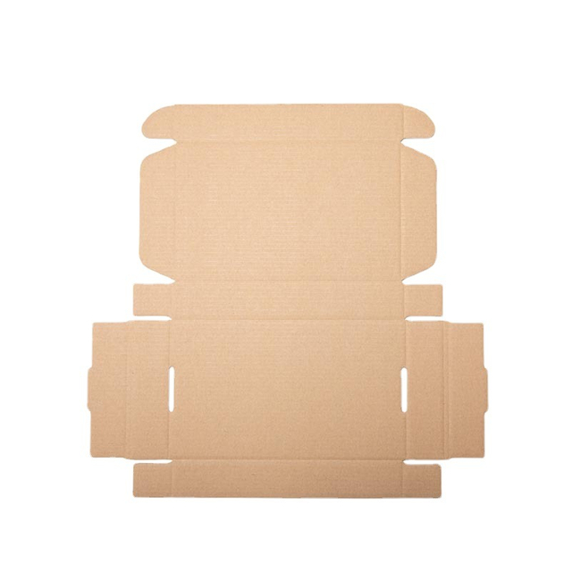Caja Corrugada 1